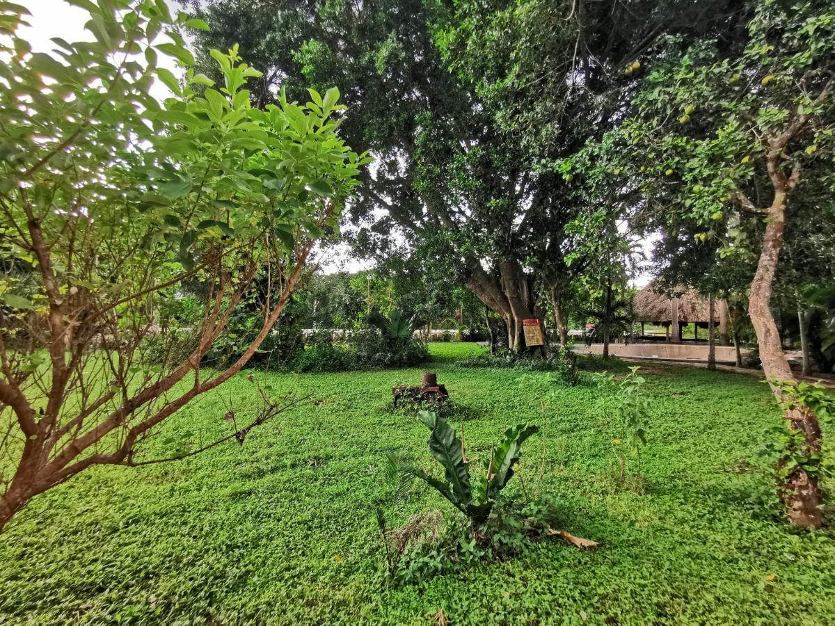 Hotel Doralba Inn Chichen מראה חיצוני תמונה